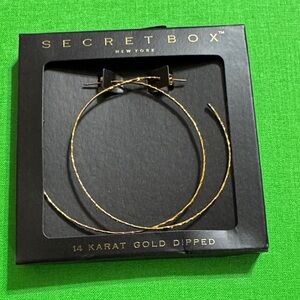 Gold Dipped Earrings